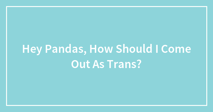 Hey Pandas, How Should I Come Out As Trans?