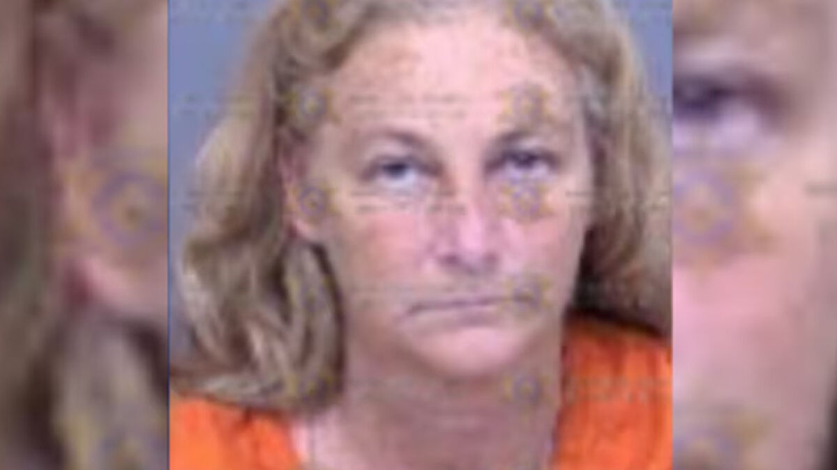 Mugshot of a woman involved in a chilling 911 call after brutally attacking her sleeping boyfriend.