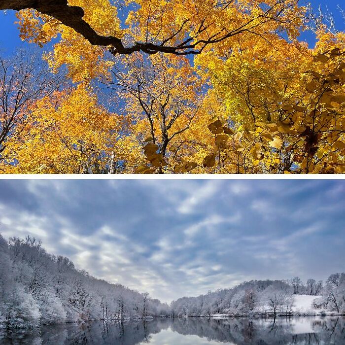 Shared Visions: 20 Artists And 20 Photographers Collaborate Across Mediums