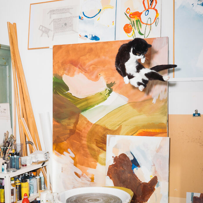 Jumping Cats By Koekkoek (7 Pics)