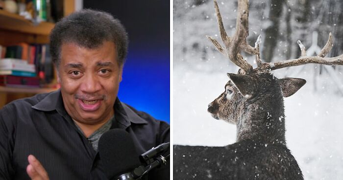 The Internet Is Losing It After Neil deGrasse Tyson Explains Gender Of Santa’s Reindeer Rudolph