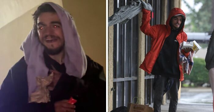 50 Times Cats Accidentally Became Internet Icons