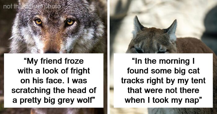 46 Creepy And Mysterious Things People Witnessed In Remote And Isolated Places