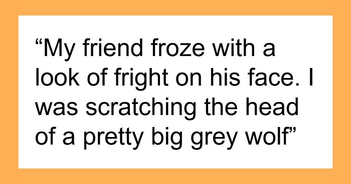 46 Creepy And Mysterious Things People Witnessed In Remote And Isolated Places