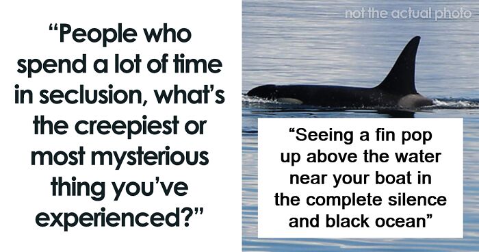 46 Creepy And Mysterious Things People Witnessed In Remote And Isolated Places