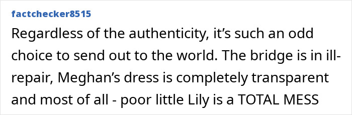 Comment criticizing Prince Harry and Meghan Markle's holiday photo, mentioning dress transparency and bridge repair issues. Comment criticizing Prince Harry and Meghan Markle's holiday photo, mentioning dress transparency and bridge repair issues.