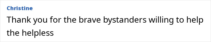 Comment from Christine thanking brave bystanders who helped a helpless child during the Bondi Beach attack incident.