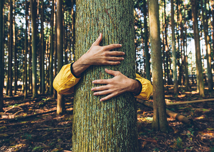 Person wearing a yellow jacket hugging a tree in a forest illustrating survival hacks that can be useless and dangerous.