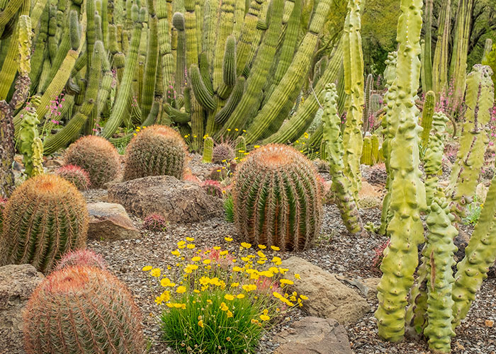 "Terrible Advice": People Urge Others To Stop Believing In These 40 Dangerous Survival Myths