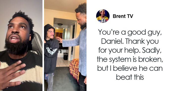 50 Times Cats Accidentally Became Internet Icons