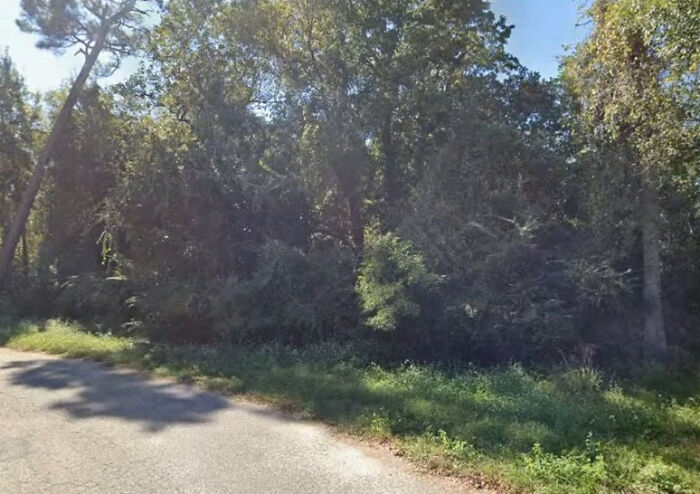 Woods near a roadside with dense trees where accused teens allegedly lured a daughter before the attack. Woods near a roadside with dense trees where accused teens allegedly lured a daughter before the attack.