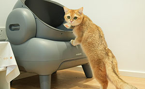 52 Creepy Things Found In “Normal” People’s Homes