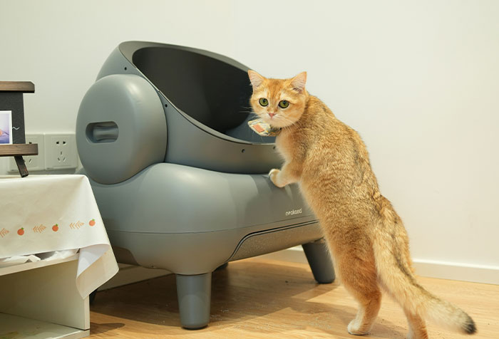 Orange cat standing on hind legs near a modern automatic litter box, illustrating disturbing things found in homes of seemingly normal people.