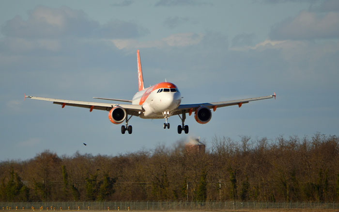 35 “Is Anyone Here A Doctor?” Stories That Went From Zero To Chaos Fast