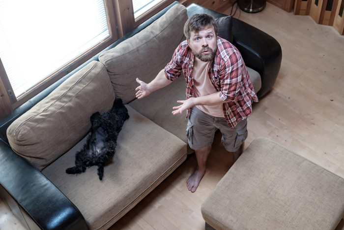 Man in casual clothes gesturing at a black dog lying on the couch in a tense dog care home drama scene. Man in casual clothes gesturing at a black dog lying on the couch in a tense dog care home drama scene.