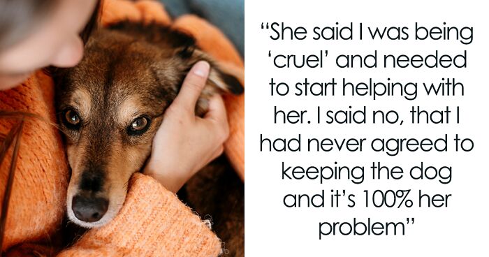 Wife Says “Yes” To Street Dog, Furious As Husband Says “No” To Cleaning Up After It