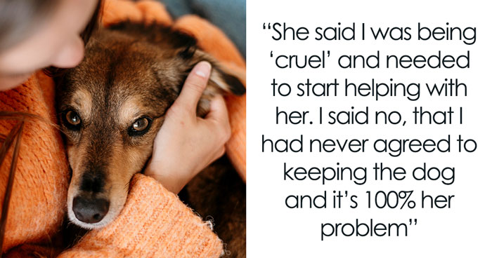 Wife Brings Home Stray Dog Against Hubby’s Wishes, Mad When He Refuses To Play Fetch With The Mop