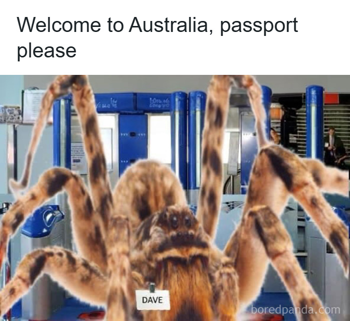 Large spider named Dave stands at airport security, humorously welcoming guests in funny unhinged memes by Grapejuiceboys.