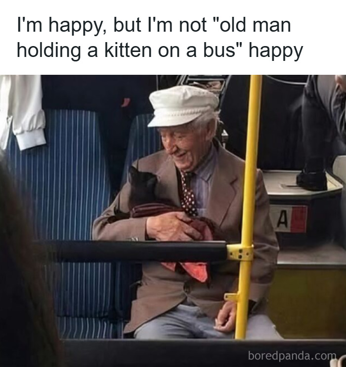 Elderly man happily holding a kitten on a bus, capturing heartwarming moments for cat memes holidays.