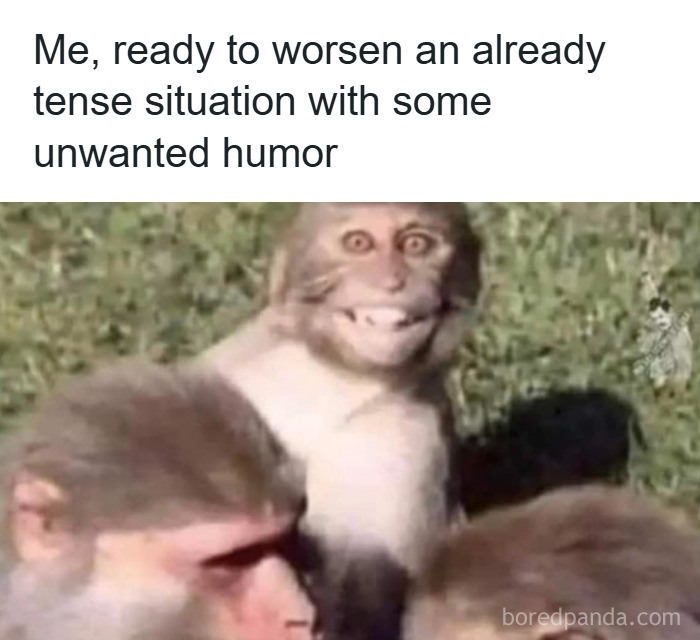 Monkey with a funny grin ready to worsen a tense situation, illustrating hilarious memes that make you forget stress.