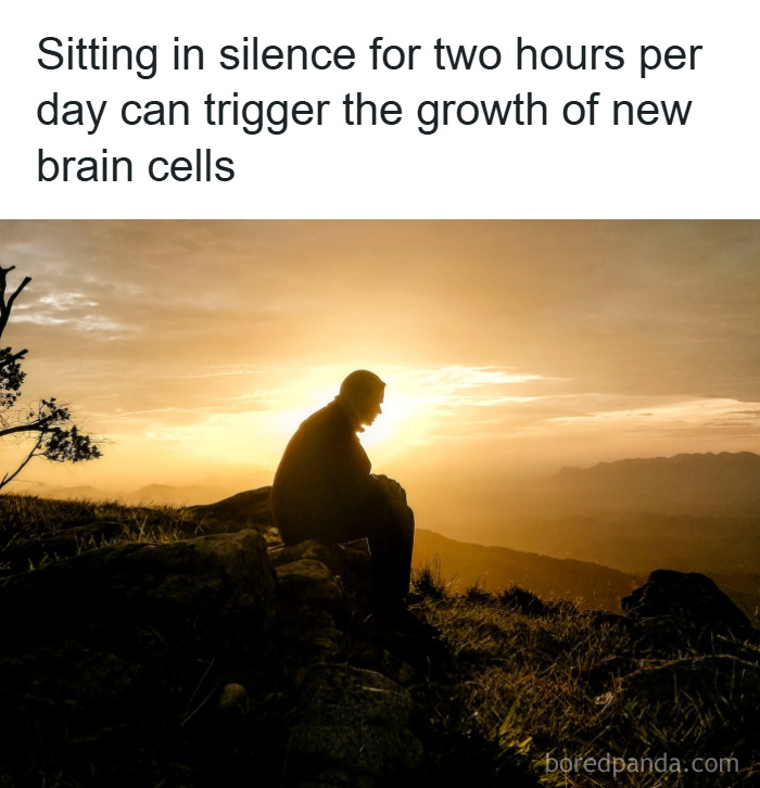 Silhouette of a person sitting quietly outdoors at sunset, illustrating psychology facts about brain cell growth.
