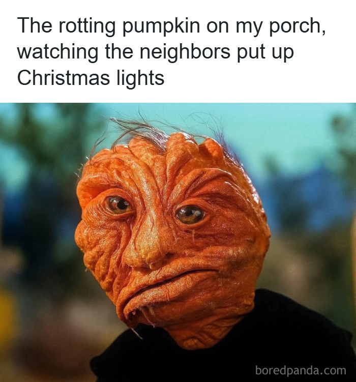 A rotting pumpkin with a sad face watching neighbors put up Christmas lights, a funny stress-relief meme.