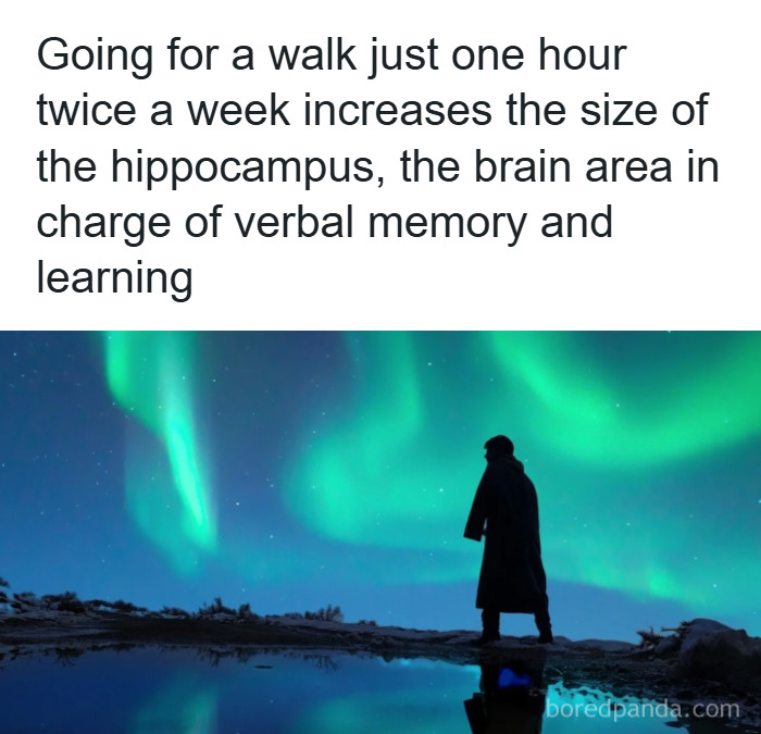 Person standing under northern lights with text about psychology facts on memory and learning benefits of walking