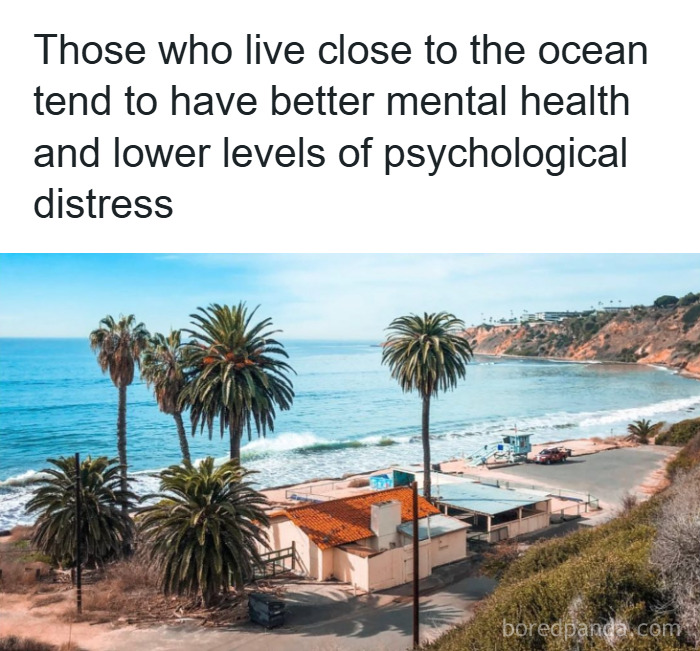 Coastal living linked to better mental health and lower psychological distress in fascinating psychology facts.