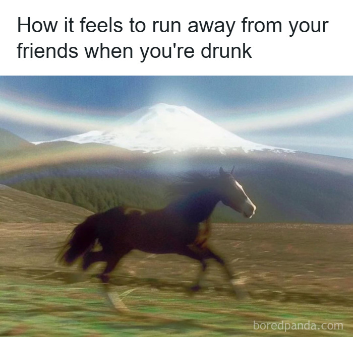 Horse running fast across a field with a mountain and rainbow in the background, funny unhinged memes style.