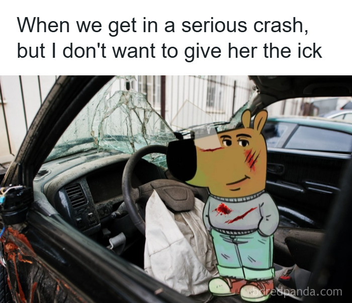 Animated cartoon dog character with scratches standing inside a wrecked car, humorous unhinged memes grapejuiceboys style.