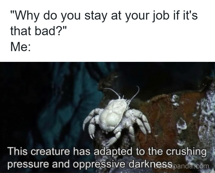 Meme showing a crab with text about adapting to pressure, illustrating hilarious memes that relieve stress at work.