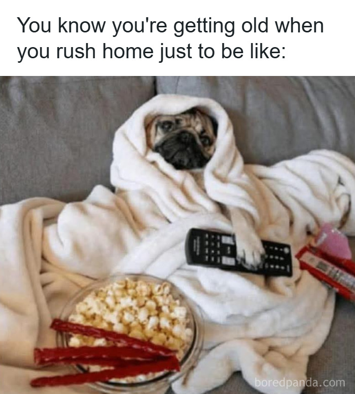 Pug wrapped in a blanket holding a remote with snacks nearby, illustrating hilarious memes for stress relief.