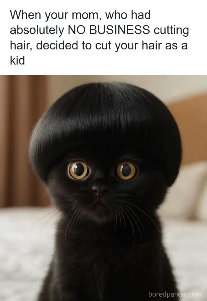 Black cat with a funny bowl haircut, a hilarious meme to make you forget stress with humor and cute animal images.