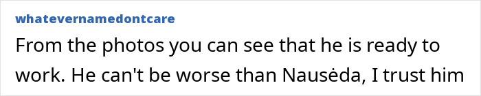 Comment thread about Lithuania lawmaker's cat consent law, displayed on a social media platform.