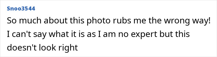 User comment expressing skepticism and discomfort about the authenticity of Prince Harry and Meghan Markle's holiday snap. User comment expressing skepticism and discomfort about the authenticity of Prince Harry and Meghan Markle's holiday snap.