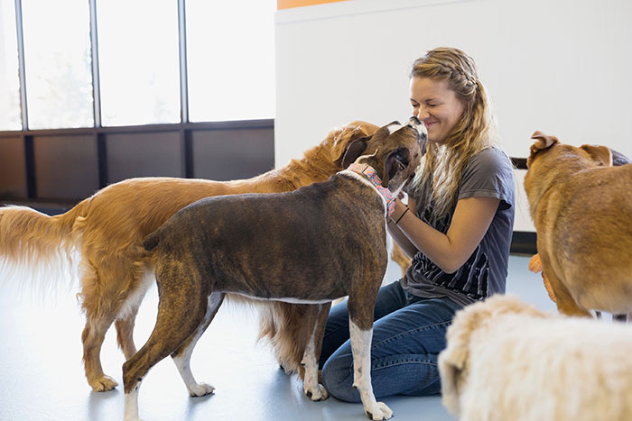 Woman playing with several dogs indoors, symbolizing entitled mother expenses split with son and girlfriend dynamics. Woman playing with several dogs indoors, symbolizing entitled mother expenses split with son and girlfriend dynamics.