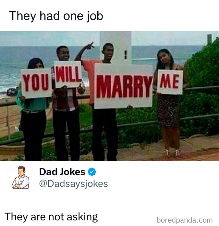 Four people holding signs that say you will marry me in a funny dad jokes moment by a seaside walkway