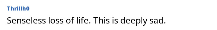 Comment expressing sadness over senseless loss of life related to ChatGPT and expert criticism after a teenager's death incident. Comment expressing sadness over senseless loss of life related to ChatGPT and expert criticism after a teenager's death incident.