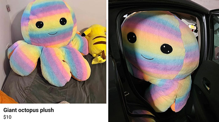 Rainbow octopus plush shown as soft toy expectation and oversized reality in a car, illustrating expectations vs reality photos.