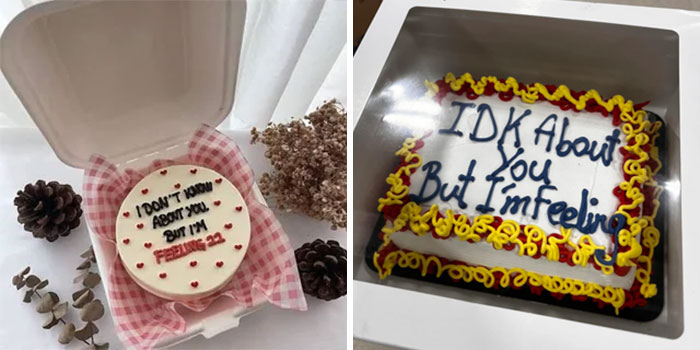 Comparison of expectations vs reality photos showing underwhelming and overjoyed reactions to custom cakes in boxes.
