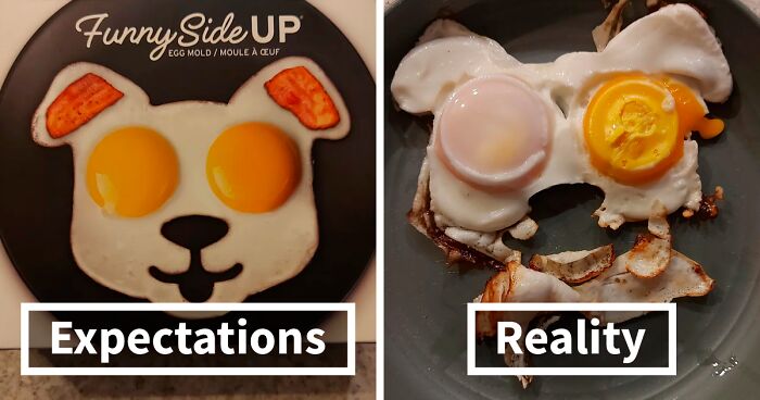 94 “Expectations Vs. Reality Photos That Left People Underwhelmed And Overjoyed” (New Pics)