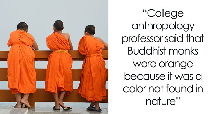 45 Times People Realized The So Called Expert Was Wrong And It Wasn’t Even Funny