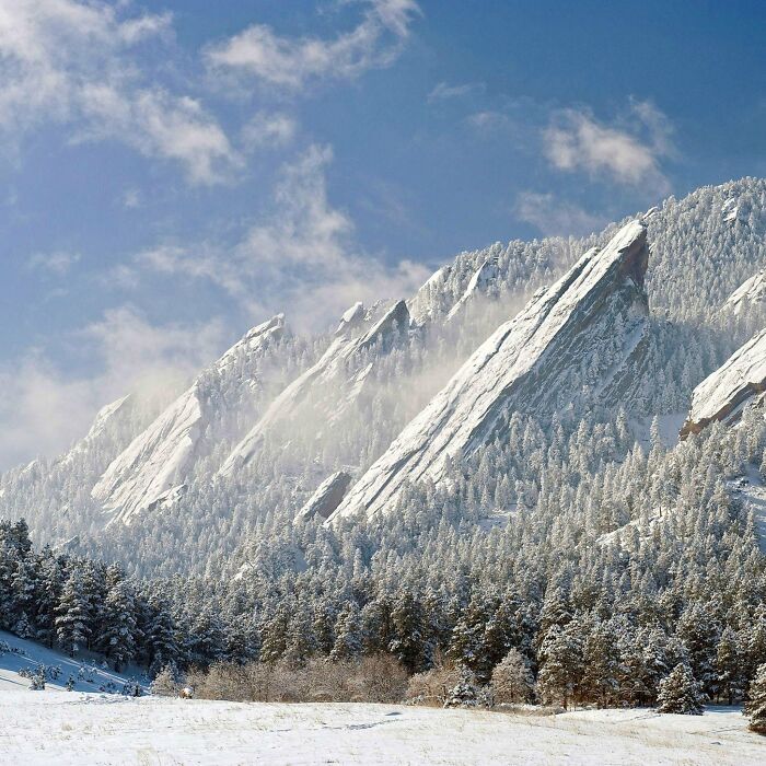 Snow-covered mountain peaks surrounded by frosted trees in a natural place that looks AI generated but is real.