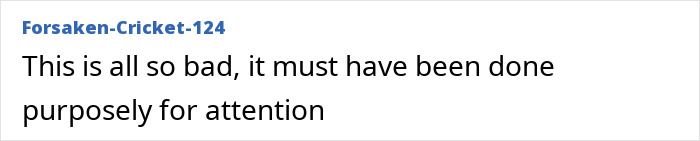Comment text criticizing a photo as intentionally done for attention in discussion about Prince Harry and Meghan Markle's holiday snap manipulation. Comment text criticizing a photo as intentionally done for attention in discussion about Prince Harry and Meghan Markle's holiday snap manipulation.