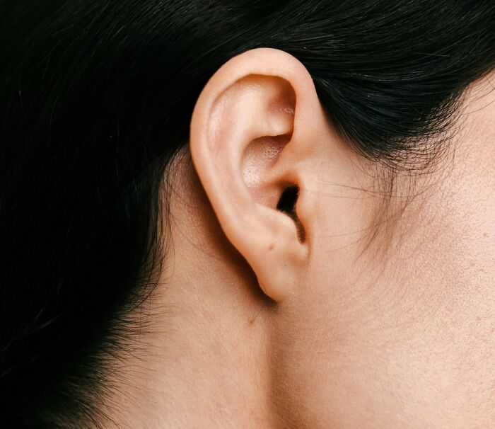 Close-up of a human ear with dark hair, illustrating one of the unusual facts that sound made up but are actually true.