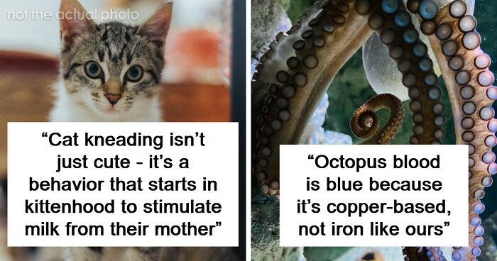 66 Interesting Facts About Animals That You Probably Never Heard Of