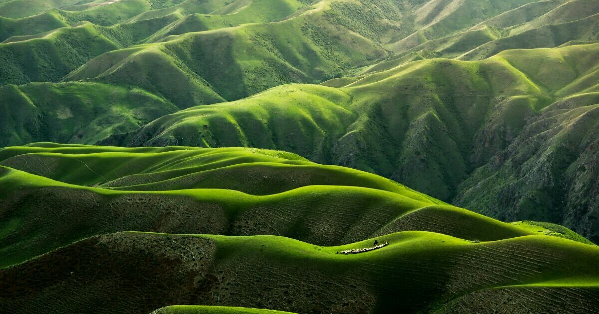 boredpanda.com - Community Panda - Hey Pandas, Share A Photo You Took That Looks Fake But Isn't