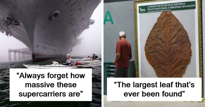 79 Pics That Show Why Extremely Large Things Can Be So Scary