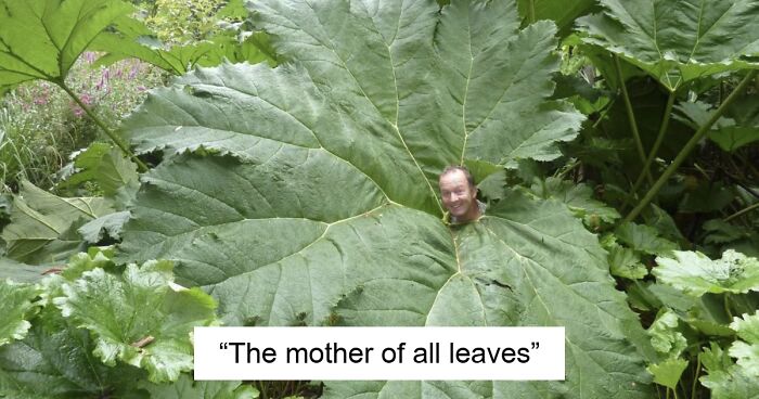 79 Pics That Strike Fear Into The Hearts Of Anyone With Megalophobia (New Pics)