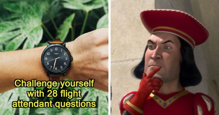 “Would You Make A Good Flight Attendant?”: 28 Questions To Test Your Eligibility